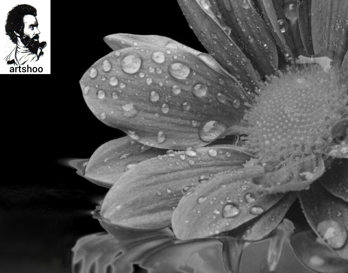 مدل سیاه قلم آب اورژینال